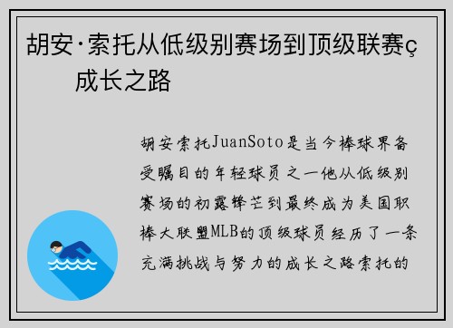 胡安·索托从低级别赛场到顶级联赛的成长之路